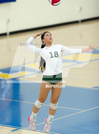 Thumbnail 3 in Archbishop Mitty vs. Sacred Heart Cathedral Preparatory (CIF CCS Playoffs) photogallery.