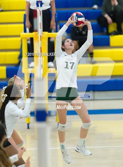 Thumbnail 1 in Archbishop Mitty vs. Sacred Heart Cathedral Preparatory (CIF CCS Playoffs) photogallery.