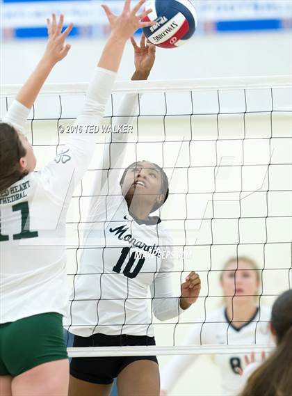 Thumbnail 2 in Archbishop Mitty vs. Sacred Heart Cathedral Preparatory (CIF CCS Playoffs) photogallery.