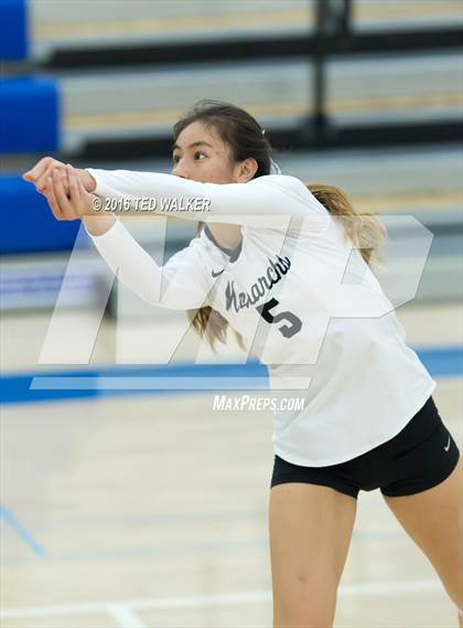Thumbnail 3 in Archbishop Mitty vs. Sacred Heart Cathedral Preparatory (CIF CCS Playoffs) photogallery.