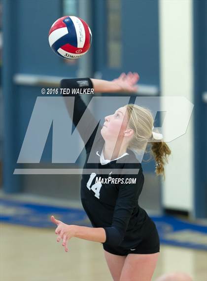 Thumbnail 2 in Archbishop Mitty vs. Sacred Heart Cathedral Preparatory (CIF CCS Playoffs) photogallery.