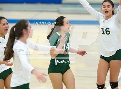 Thumbnail 2 in Archbishop Mitty vs. Sacred Heart Cathedral Preparatory (CIF CCS Playoffs) photogallery.