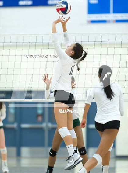 Thumbnail 1 in Archbishop Mitty vs. Sacred Heart Cathedral Preparatory (CIF CCS Playoffs) photogallery.