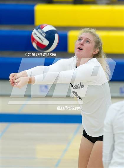 Thumbnail 3 in Archbishop Mitty vs. Sacred Heart Cathedral Preparatory (CIF CCS Playoffs) photogallery.