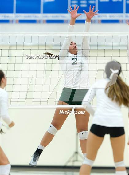 Thumbnail 2 in Archbishop Mitty vs. Sacred Heart Cathedral Preparatory (CIF CCS Playoffs) photogallery.