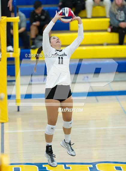 Thumbnail 2 in Archbishop Mitty vs. Sacred Heart Cathedral Preparatory (CIF CCS Playoffs) photogallery.