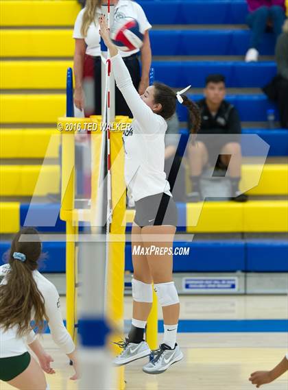 Thumbnail 1 in Archbishop Mitty vs. Sacred Heart Cathedral Preparatory (CIF CCS Playoffs) photogallery.
