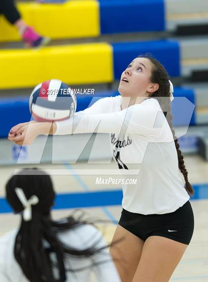 Thumbnail 2 in Archbishop Mitty vs. Sacred Heart Cathedral Preparatory (CIF CCS Playoffs) photogallery.