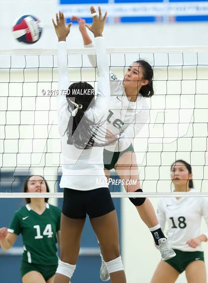 Thumbnail 3 in Archbishop Mitty vs. Sacred Heart Cathedral Preparatory (CIF CCS Playoffs) photogallery.