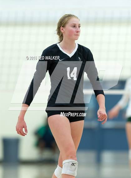 Thumbnail 2 in Archbishop Mitty vs. Sacred Heart Cathedral Preparatory (CIF CCS Playoffs) photogallery.