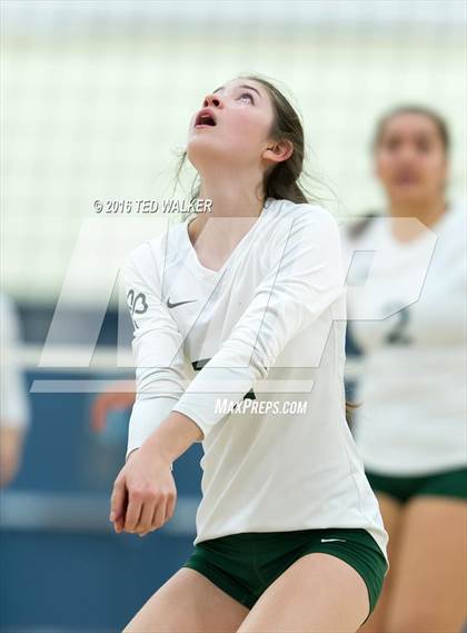 Thumbnail 1 in Archbishop Mitty vs. Sacred Heart Cathedral Preparatory (CIF CCS Playoffs) photogallery.