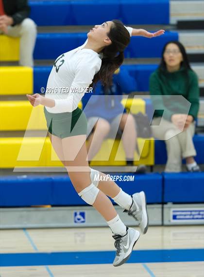 Thumbnail 2 in Archbishop Mitty vs. Sacred Heart Cathedral Preparatory (CIF CCS Playoffs) photogallery.