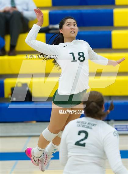 Thumbnail 3 in Archbishop Mitty vs. Sacred Heart Cathedral Preparatory (CIF CCS Playoffs) photogallery.