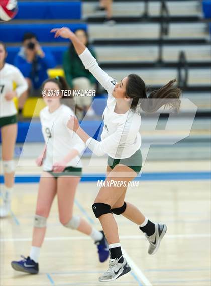 Thumbnail 3 in Archbishop Mitty vs. Sacred Heart Cathedral Preparatory (CIF CCS Playoffs) photogallery.