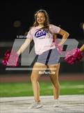 Photo from the gallery "Mead @ Timnath"