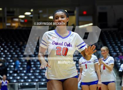Thumbnail 1 in Grand Oaks vs. Fulshear (UIL 6A Volleyball Division I Final) photogallery.