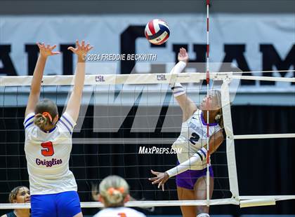 Thumbnail 1 in Grand Oaks vs. Fulshear (UIL 6A Volleyball Division I Final) photogallery.
