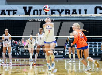 Thumbnail 2 in Grand Oaks vs. Fulshear (UIL 6A Volleyball Division I Final) photogallery.