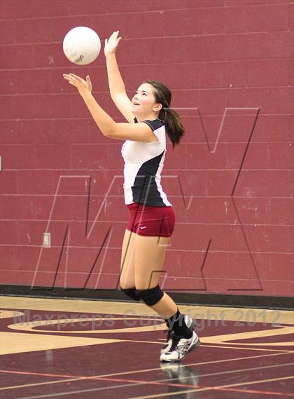 Thumbnail 1 in Antelope @ Woodcreek photogallery.