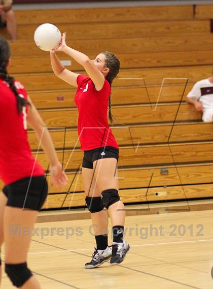 Thumbnail 3 in Antelope @ Woodcreek photogallery.
