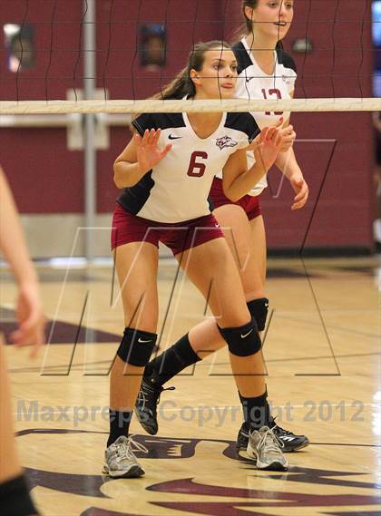 Thumbnail 3 in Antelope @ Woodcreek photogallery.