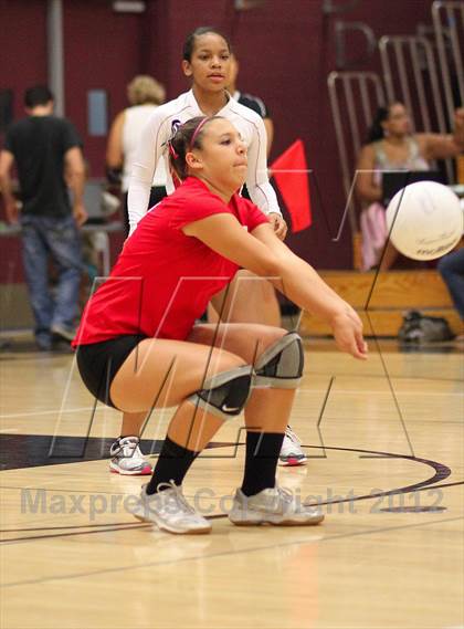 Thumbnail 1 in Antelope @ Woodcreek photogallery.