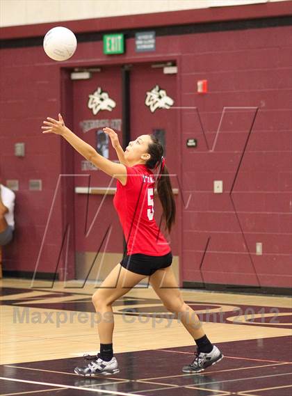 Thumbnail 2 in Antelope @ Woodcreek photogallery.
