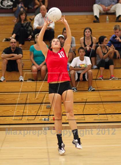 Thumbnail 3 in Antelope @ Woodcreek photogallery.
