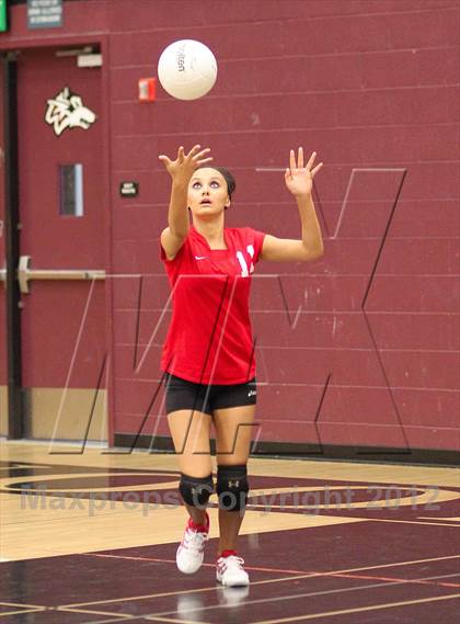 Thumbnail 1 in Antelope @ Woodcreek photogallery.
