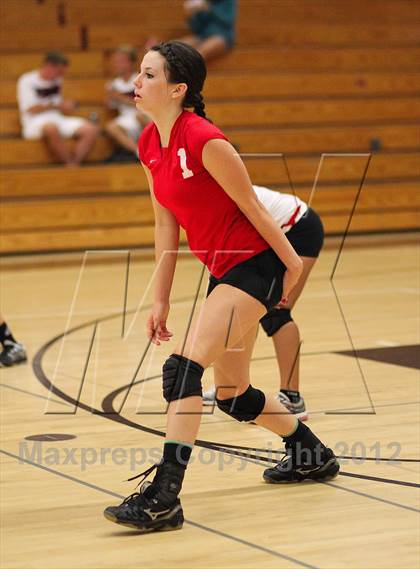 Thumbnail 1 in Antelope @ Woodcreek photogallery.