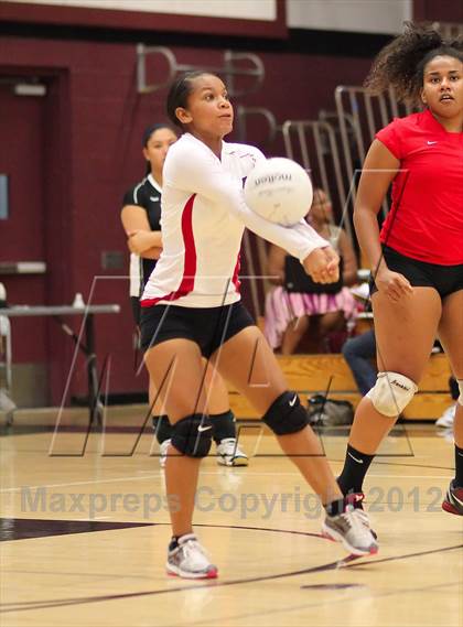 Thumbnail 1 in Antelope @ Woodcreek photogallery.