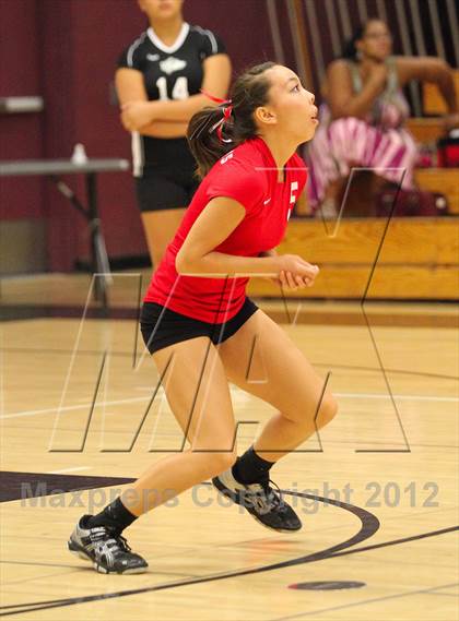 Thumbnail 3 in Antelope @ Woodcreek photogallery.