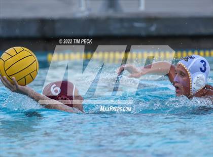 Thumbnail 2 in El Toro @ Esperanza photogallery.