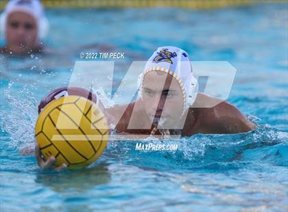 Thumbnail 1 in El Toro @ Esperanza photogallery.