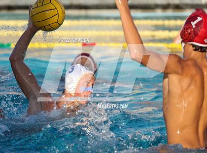 Thumbnail 1 in El Toro @ Esperanza photogallery.