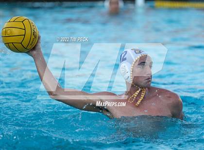 Thumbnail 1 in El Toro @ Esperanza photogallery.