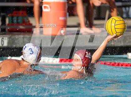 Thumbnail 2 in El Toro @ Esperanza photogallery.