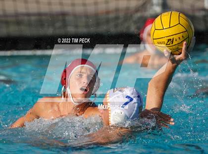 Thumbnail 1 in El Toro @ Esperanza photogallery.