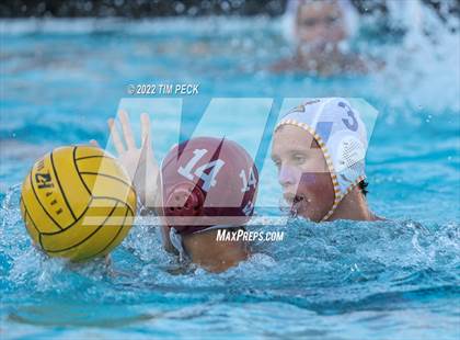 Thumbnail 3 in El Toro @ Esperanza photogallery.