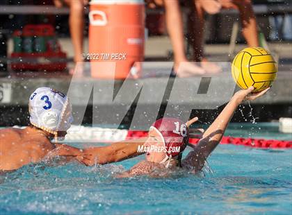 Thumbnail 1 in El Toro @ Esperanza photogallery.
