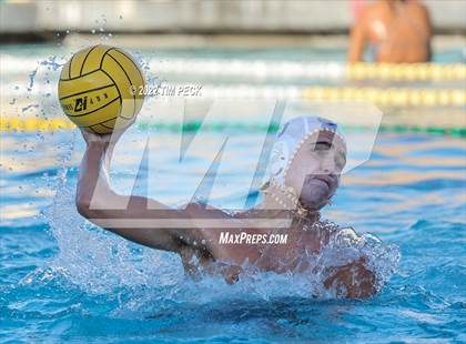 Thumbnail 2 in El Toro @ Esperanza photogallery.