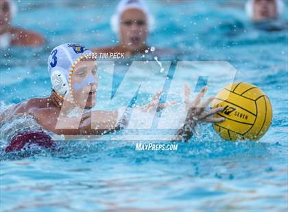 Thumbnail 2 in El Toro @ Esperanza photogallery.