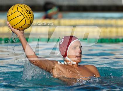 Thumbnail 1 in El Toro @ Esperanza photogallery.