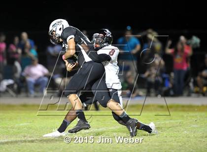 Thumbnail 1 in Pasco @ Sunlake photogallery.