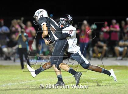 Thumbnail 3 in Pasco @ Sunlake photogallery.