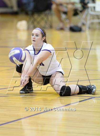 Thumbnail 1 in Wheeling @ Rolling Meadows photogallery.