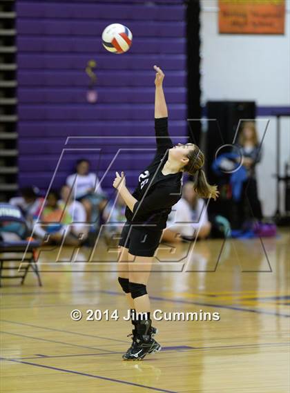 Thumbnail 1 in Wheeling @ Rolling Meadows photogallery.
