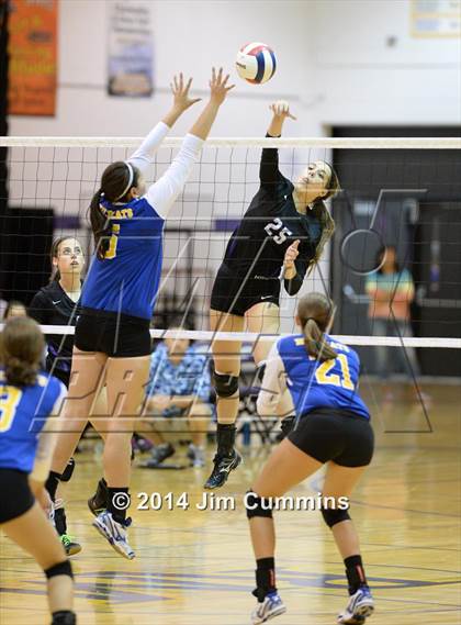 Thumbnail 2 in Wheeling @ Rolling Meadows photogallery.