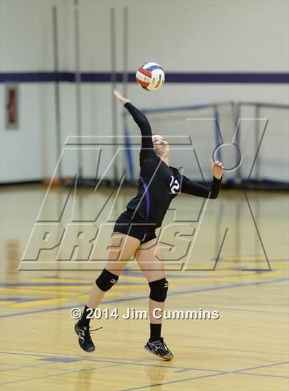 Thumbnail 3 in Wheeling @ Rolling Meadows photogallery.