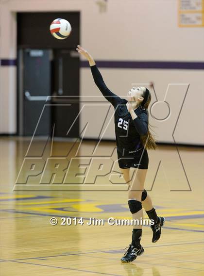 Thumbnail 1 in Wheeling @ Rolling Meadows photogallery.